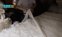 弹棉花视频,揭秘传统弹棉花技艺的传承与创新